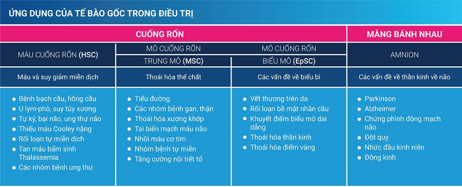 ung-dung-te-bao-goc-chua-benh